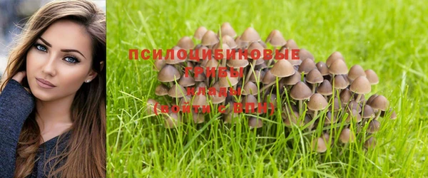 спиды Дмитровск