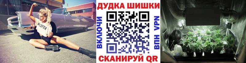 Шишки марихуана Bruce Banner  Купить  Иннополис 